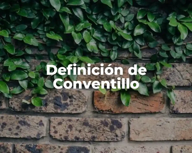 Definición de Conventillo