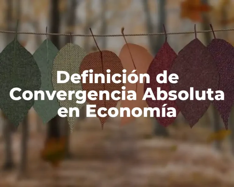 Definición de Convergencia Absoluta en Economía