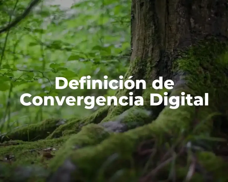 Definición de Convergencia Digital