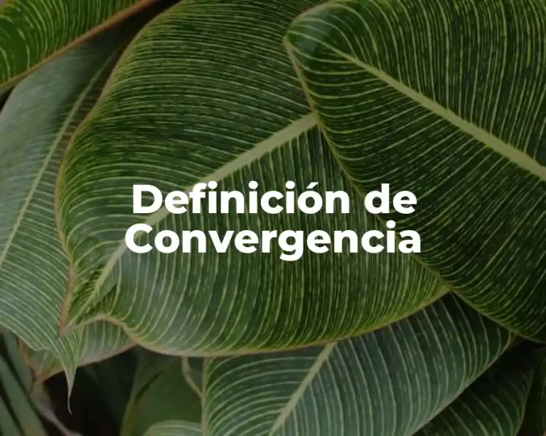 Definición de Convergencia