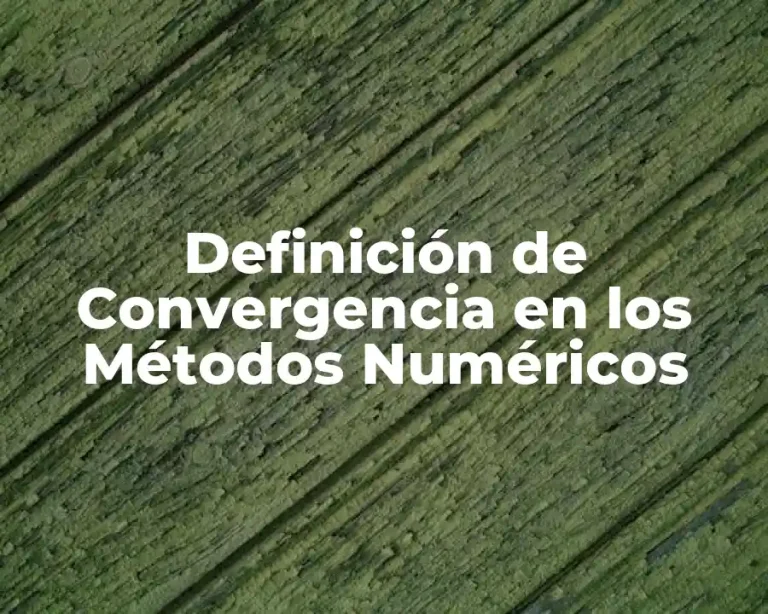 Definición de Convergencia en los Métodos Numéricos