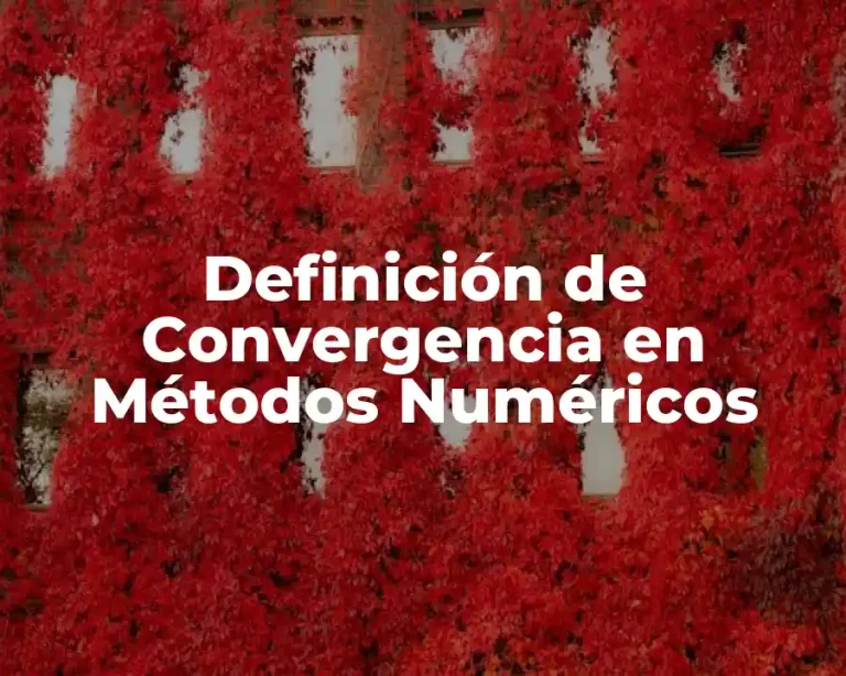 Definición de Convergencia en Métodos Numéricos
