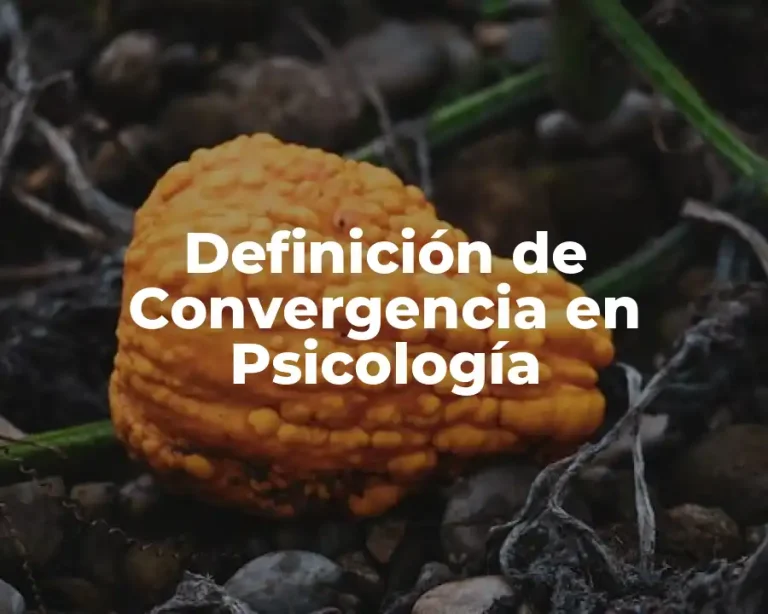 Definición de Convergencia en Psicología