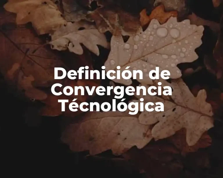 Definición de Convergencia Técnológica