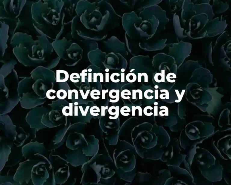 Definición de convergencia y divergencia