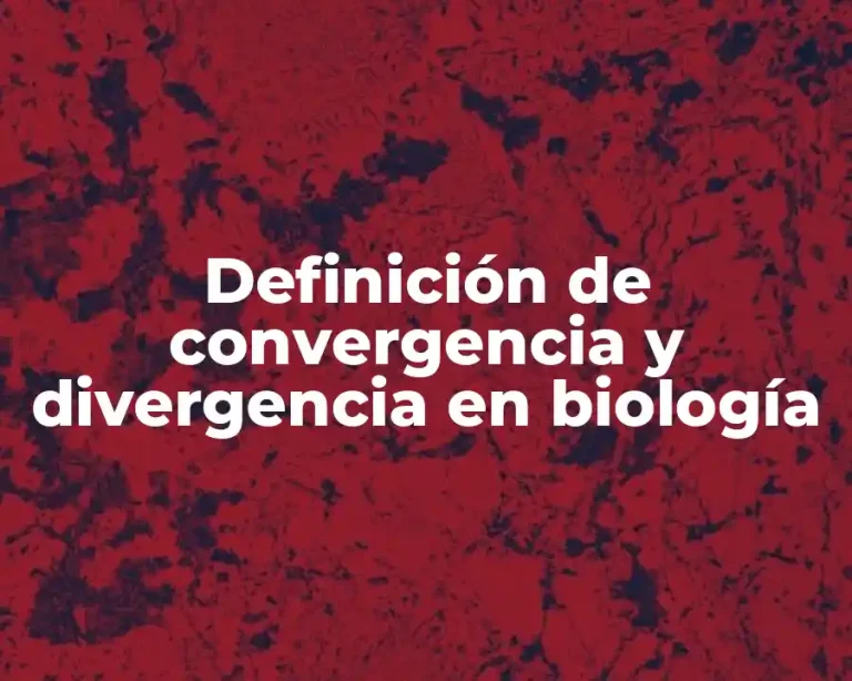 Definición de convergencia y divergencia en biología