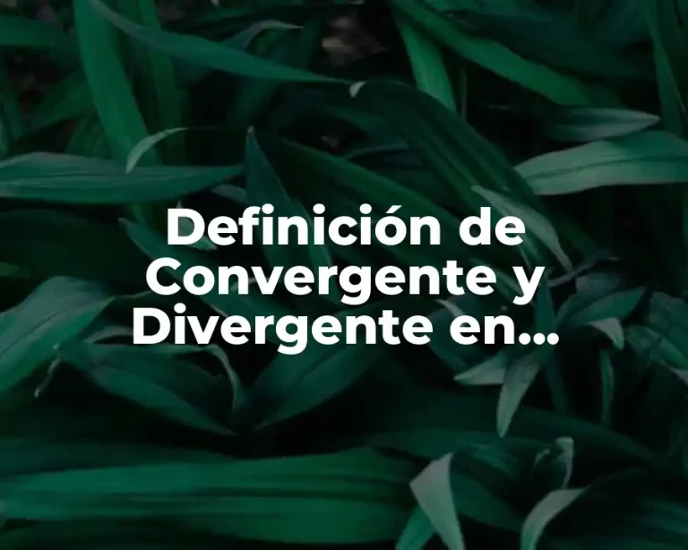 Definición de Convergente y Divergente en Matemáticas