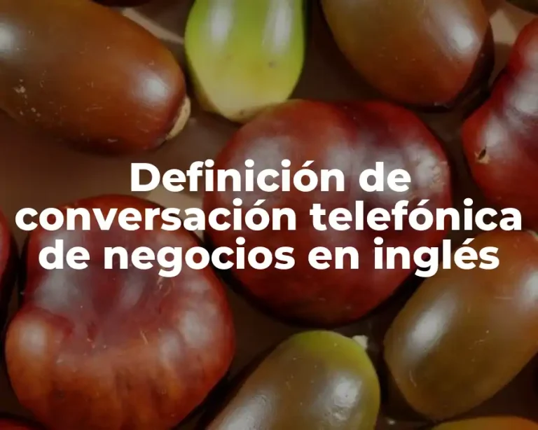 Definición de conversación telefónica de negocios en inglés