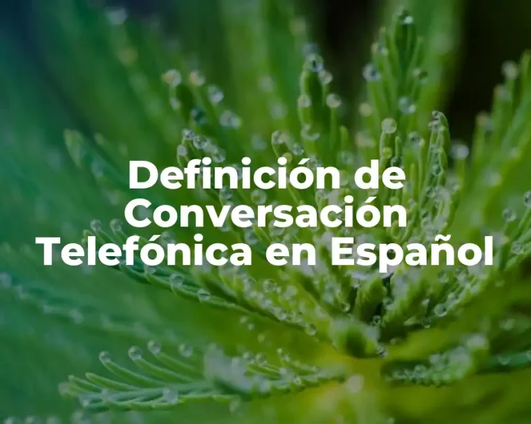 Definición de Conversación Telefónica en Español