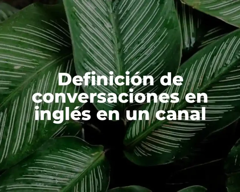 Definición de conversaciones en inglés en un canal