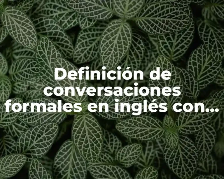 Definición de conversaciones formales en inglés con want y would