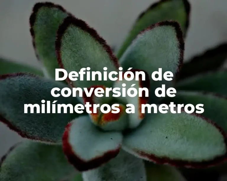 Definición de conversión de milímetros a metros
