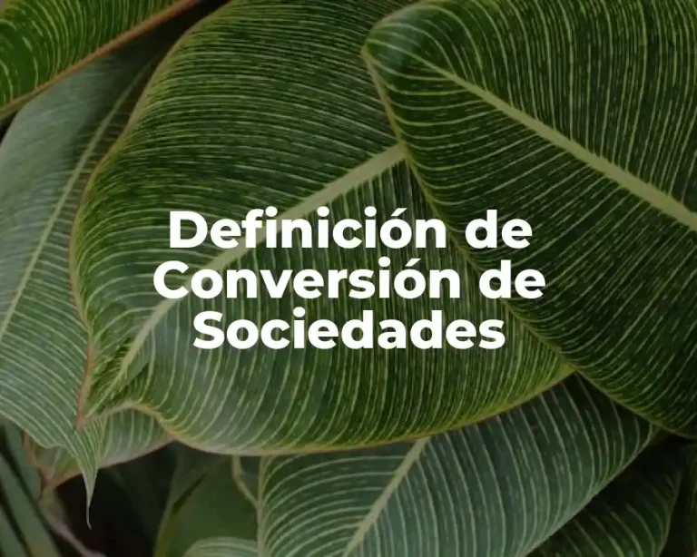 Definición de Conversión de Sociedades