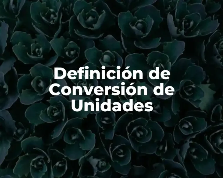 Definición de Conversión de Unidades