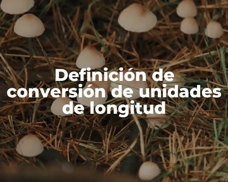 Definición de conversión de unidades de longitud