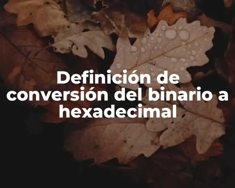 Definición de conversión del binario a hexadecimal