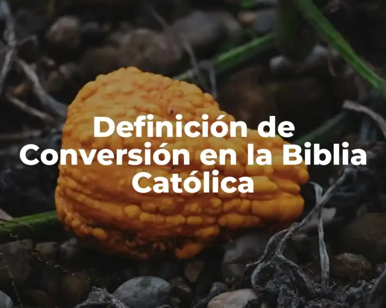 Definición de Conversión en la Biblia Católica