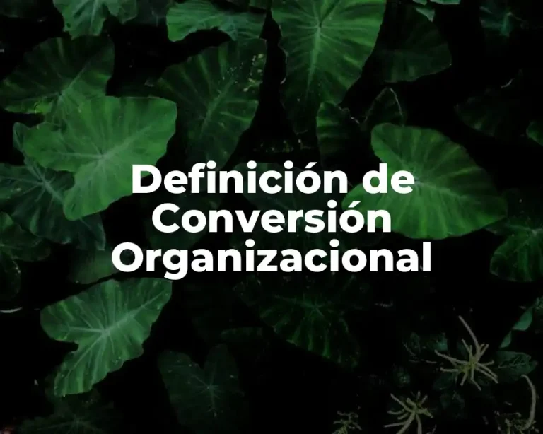 Definición de Conversión Organizacional