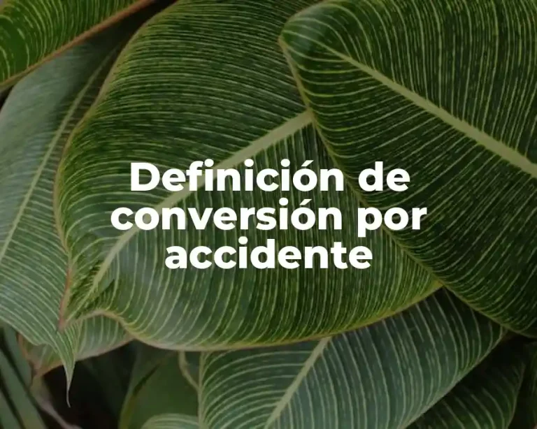 Definición de conversión por accidente