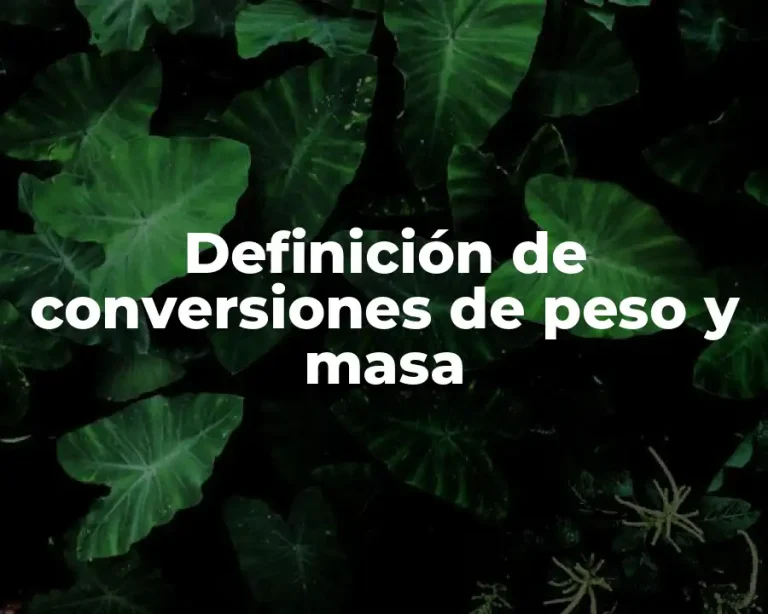 Definición de conversiones de peso y masa