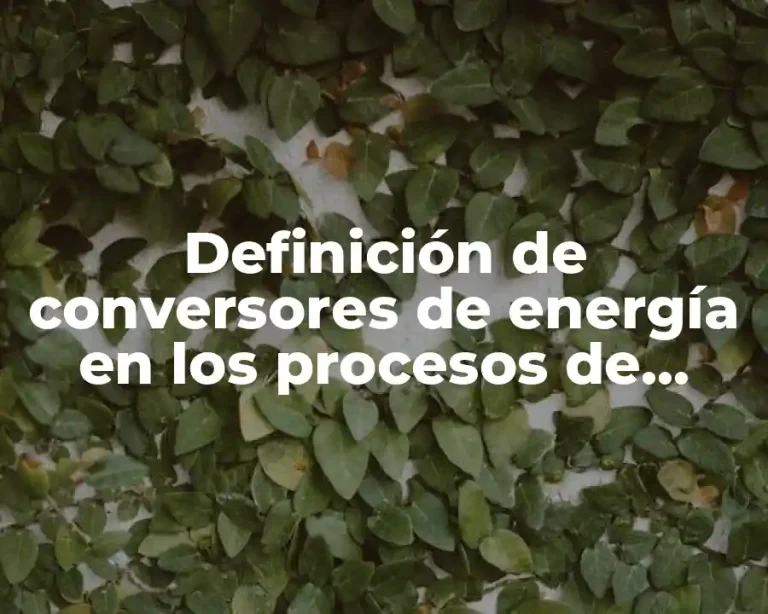 Definición de conversores de energía en los procesos de información