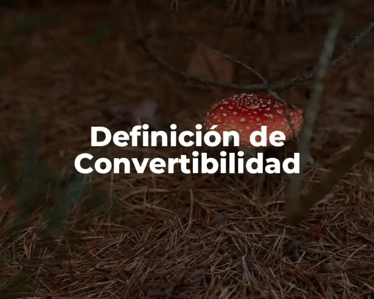 Definición de Convertibilidad