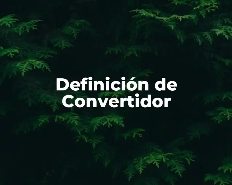 Definición de Convertidor