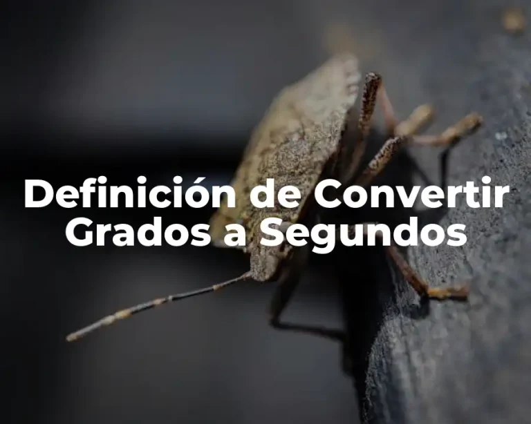 Definición de Convertir Grados a Segundos