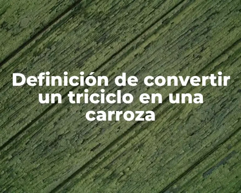 Definición de convertir un triciclo en una carroza