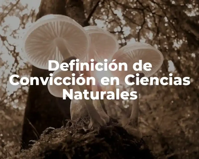 Definición de Convicción en Ciencias Naturales