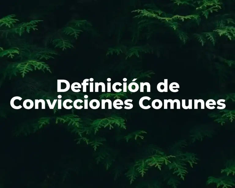 Definición de Convicciones Comunes