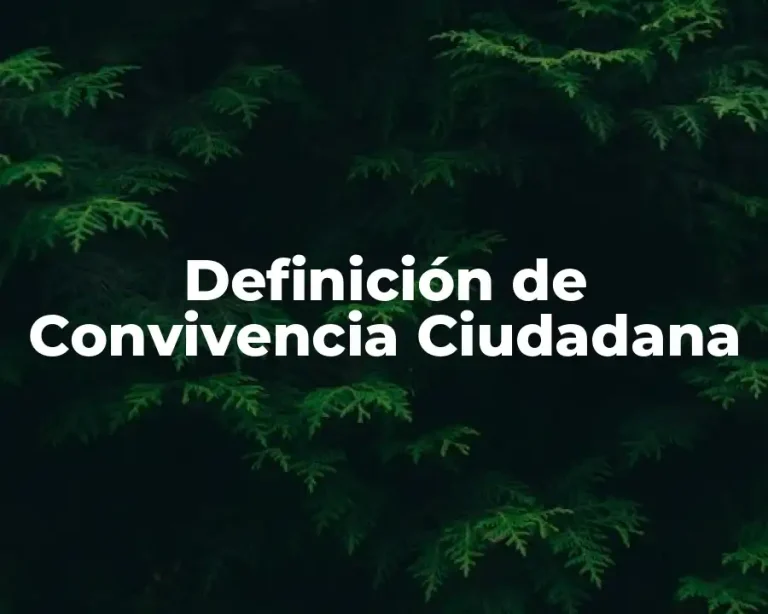 Definición de Convivencia Ciudadana