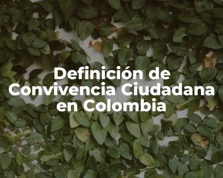 Definición de Convivencia Ciudadana en Colombia
