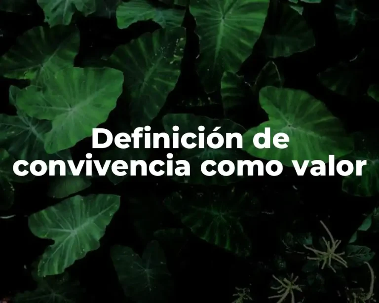 Definición de convivencia como valor