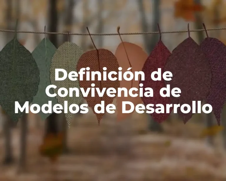 Definición de Convivencia de Modelos de Desarrollo
