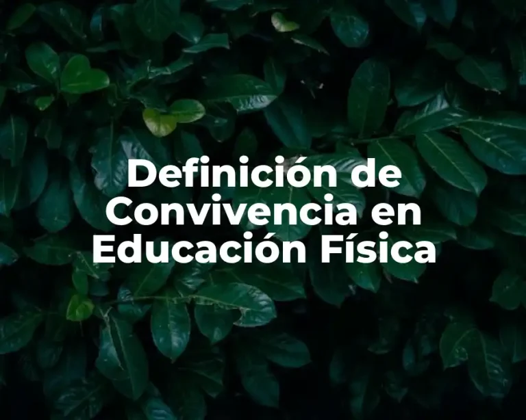 Definición de Convivencia en Educación Física