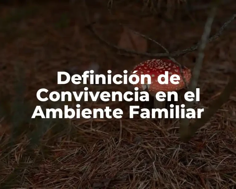 Definición de Convivencia en el Ambiente Familiar