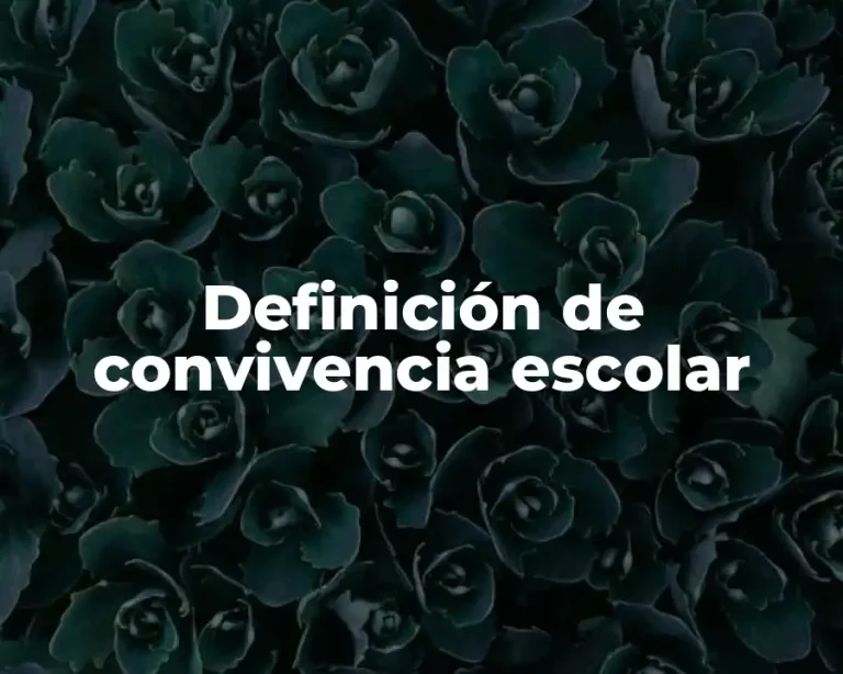 Definición de convivencia escolar