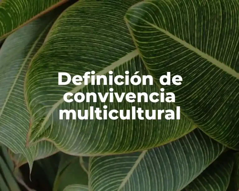 Definición de convivencia multicultural
