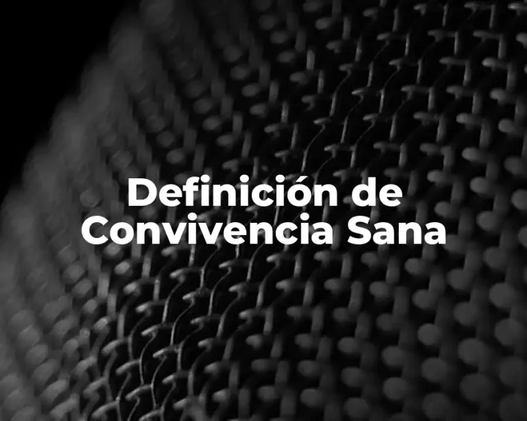 Definición de Convivencia Sana