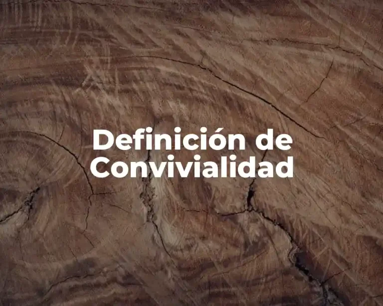 Definición de Convivialidad