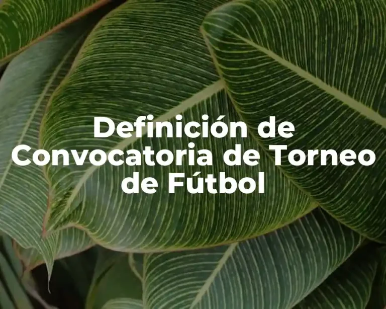 Definición de Convocatoria de Torneo de Fútbol