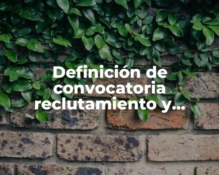 Definición de convocatoria reclutamiento y selección