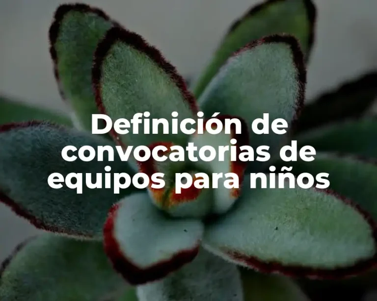 Definición de convocatorias de equipos para niños