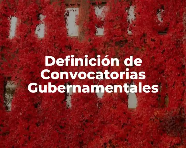 Definición de Convocatorias Gubernamentales