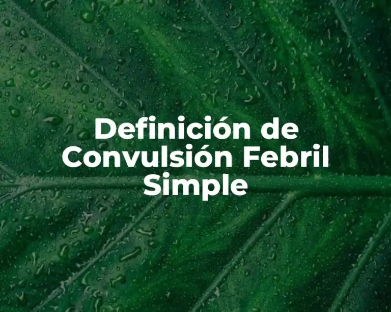 Definición de Convulsión Febril Simple