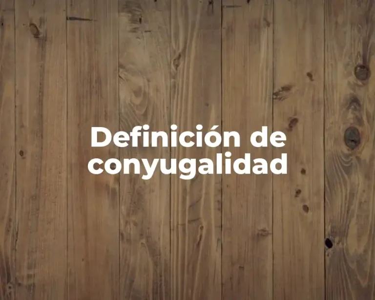 Definición de conyugalidad