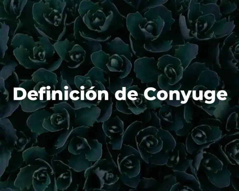 Definición de Conyuge