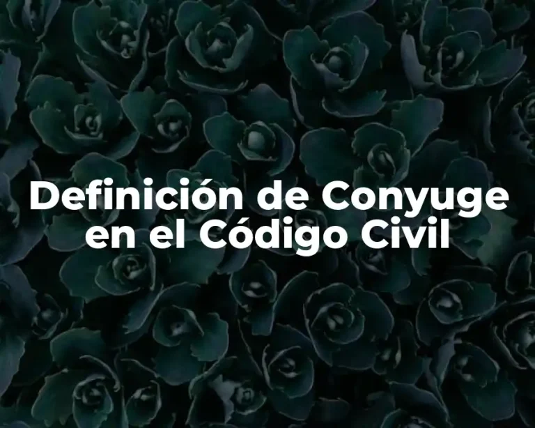 Definición de Conyuge en el Código Civil