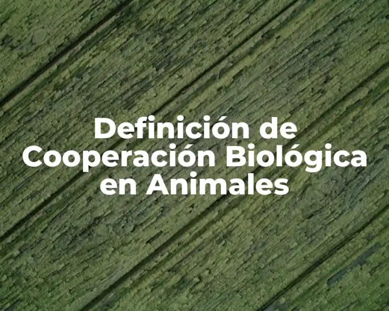 Definición de Cooperación Biológica en Animales